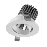 Angle Adjustable Display Ceiling Light for Background Wall  6-8WATTS，220-240 VOLTSMS-DL1102